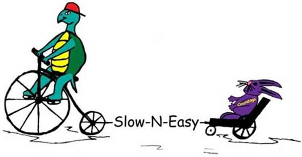 SNEW logo.jpg